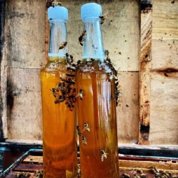 

[COD] Promo: Madu Odeng 1kg asli hutan ujung kulon, murni super prmeium 100% alami natural