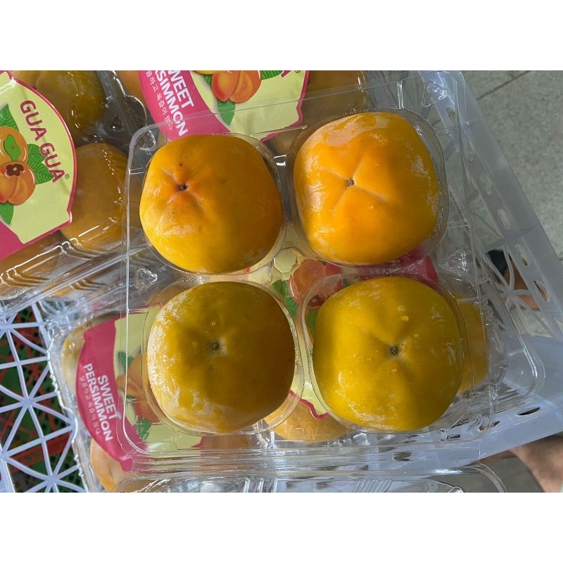 

BUAH PERSIMMON IMPORT SUPER FRESH | KESEMEK GUA GUA PREMIUM