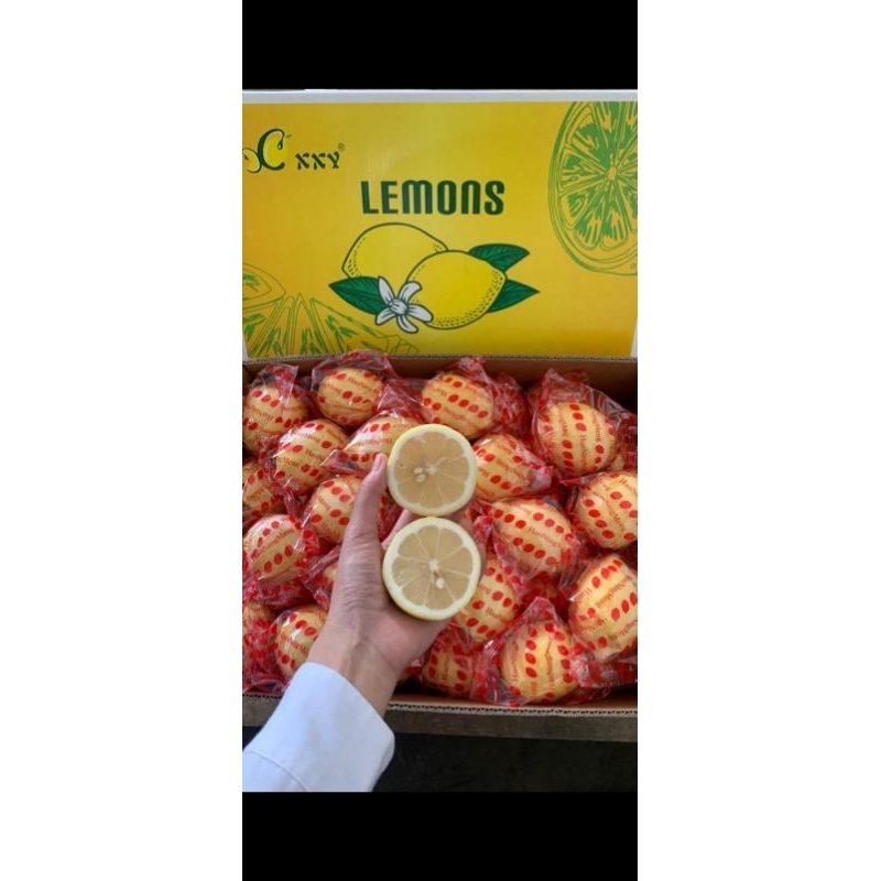

fresh Lemon 1kg
