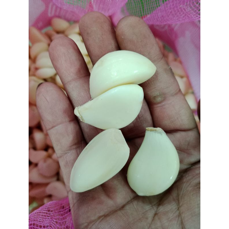 

Bawang Putih Kupas Bersih 1 Kg Fresh