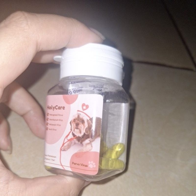 [new segel] holycare obat parvo anjing kucing pencernaan pup berdarah