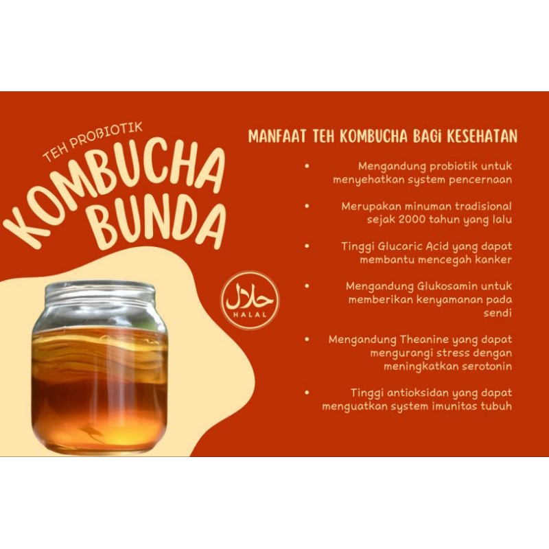 

minuman probiotik teh fermentasi kombucha 250ml