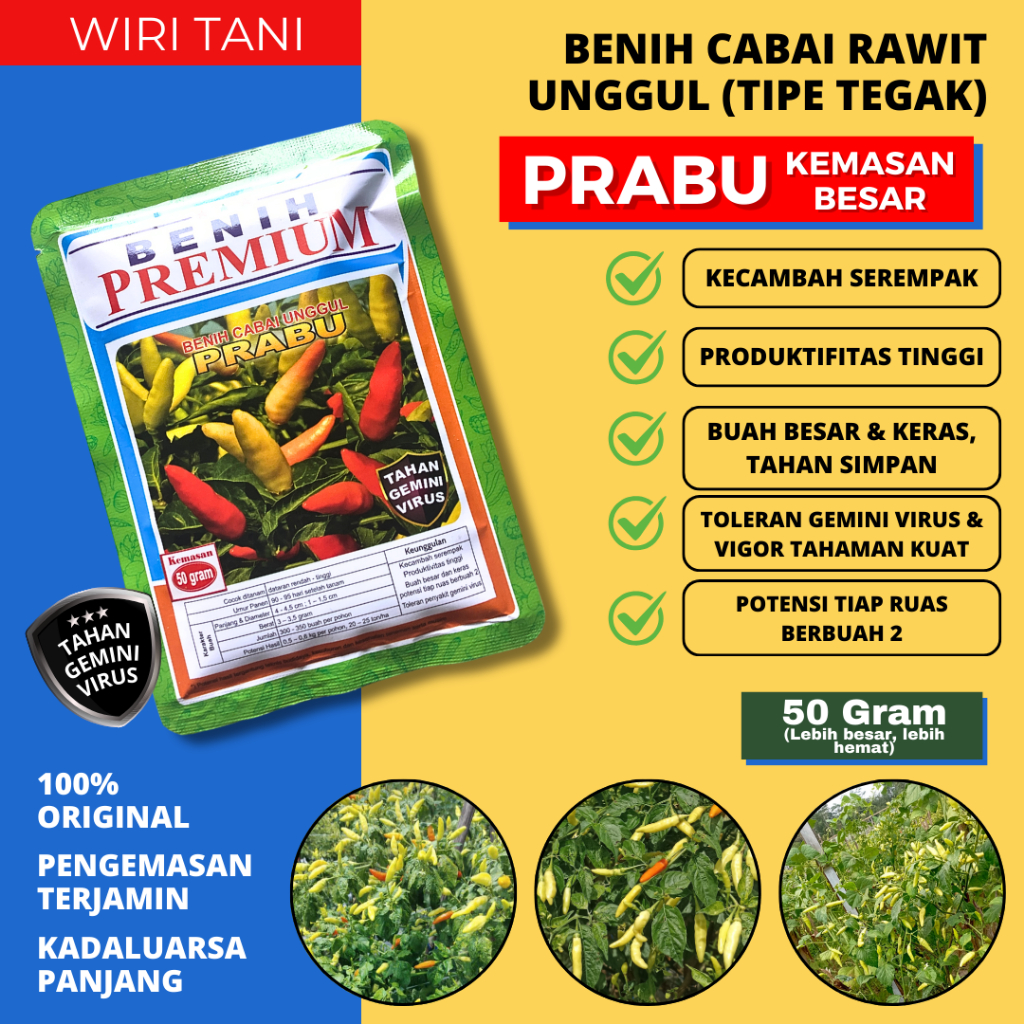 (kemasan besar 50 gram) Benih Cabai Tahan Virus PRABU +-10.500 biji | cabai tipe tegak, produktifita