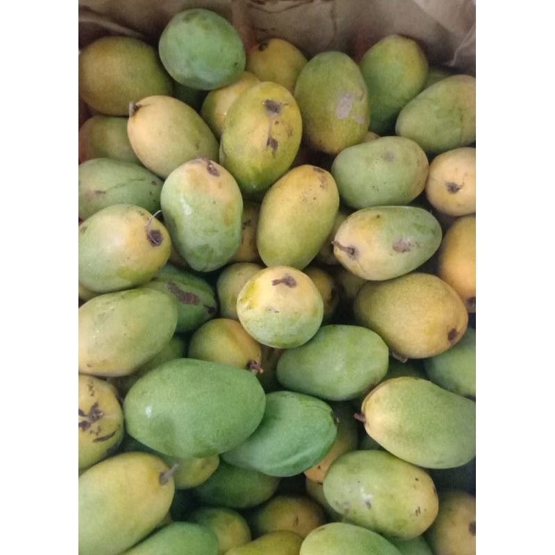 

MANGGA MADU 1 Kg