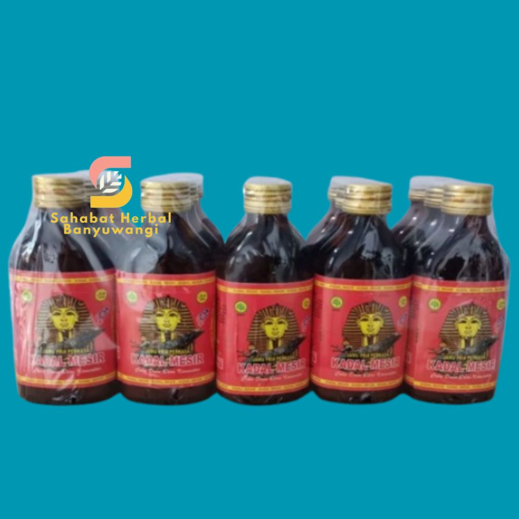 

JAMU Kadal Mesir Besar 1 Slop( Isi 15 botol)