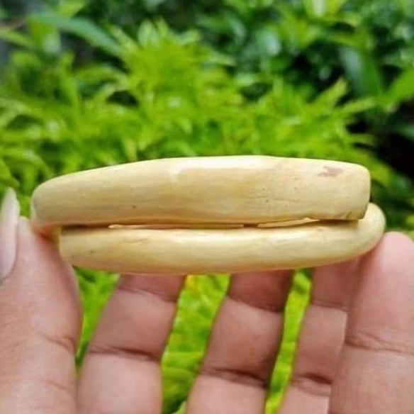 gelang akar bahar putih asli 100% original