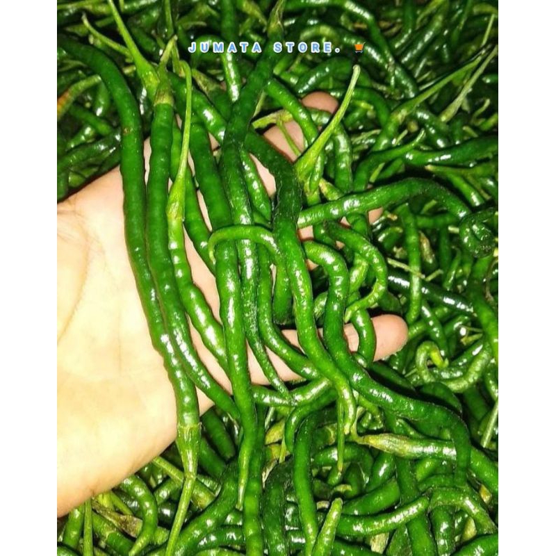 

CABE HIJAU CABAI HIJAU KERITING 100gr/250gr