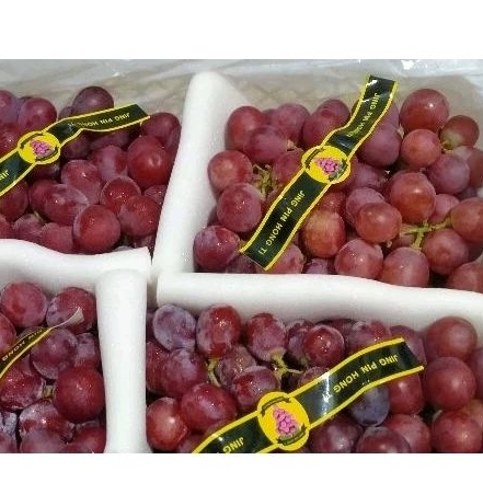 

Buah anggur Red/Abang /fresh 500 gr