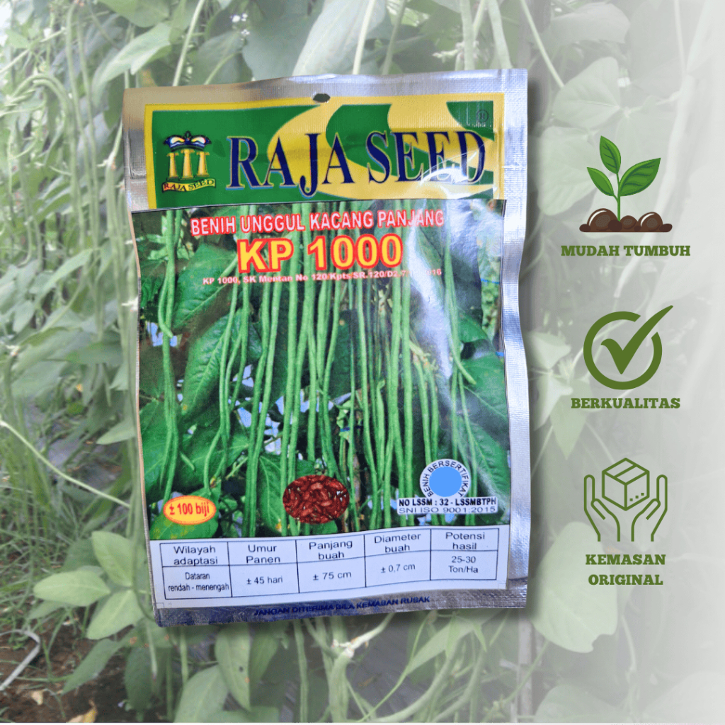 Benih Kacang Panjang KP 1000 100 biji Cap RAJA SEED Unggul & Tahan Serangan Virus