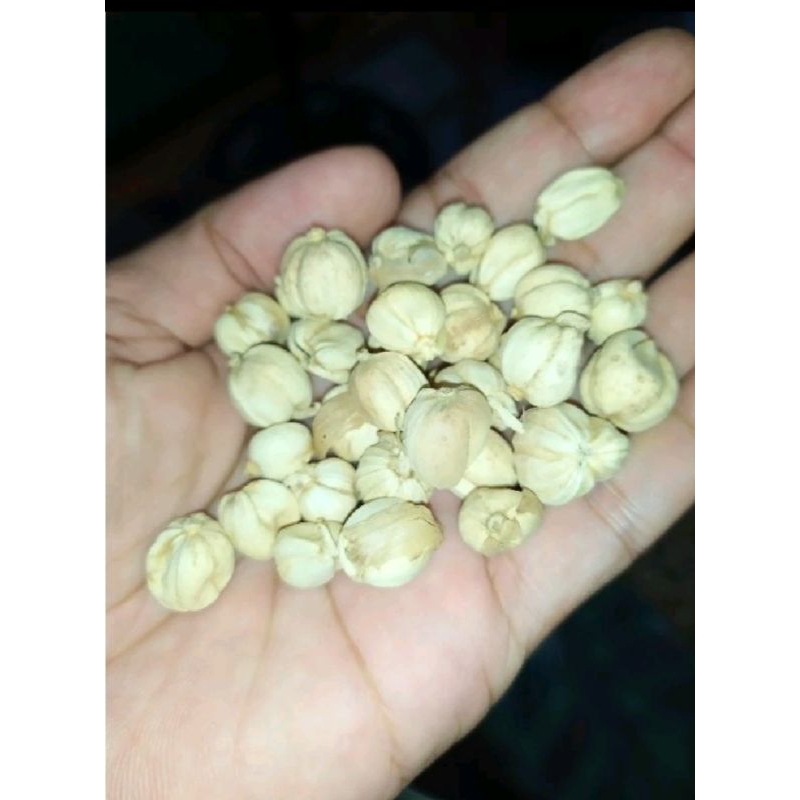 

kapulaga premium 1kg