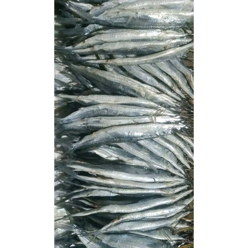 

ikan sembe/ikan asin khas adonara/ikan asin khas ntt