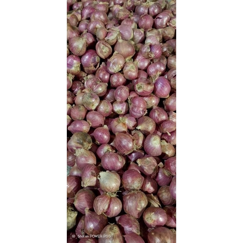 

bawang merah 500gr+bawang putih sinco250gr sepaket hemat