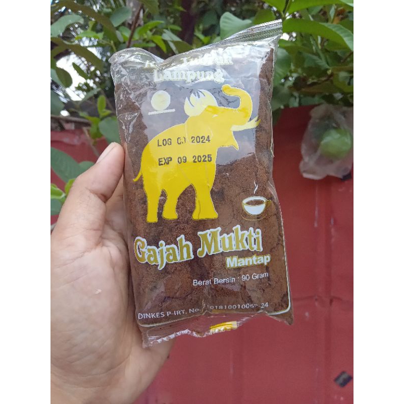 

kopi gajah mukti asli lampung