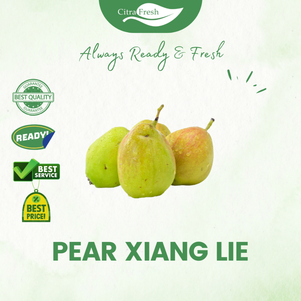 

CITRA FRESH - Pear Xiang Lie 1 Kg - Selalu Ready dan Fresh