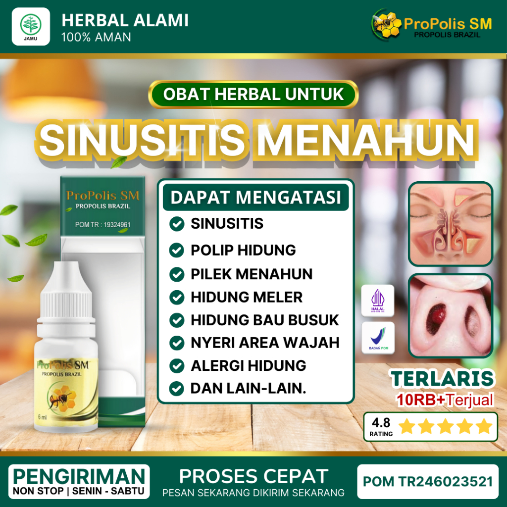 Obat Herbal Sinusitis Polip Hidung Penciuman Bau Busuk Alami Filek Menahun Hidung Tersumbat Benjolan