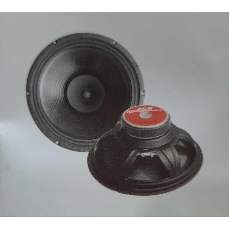 Speaker 10 inch C-1018 HW ACR