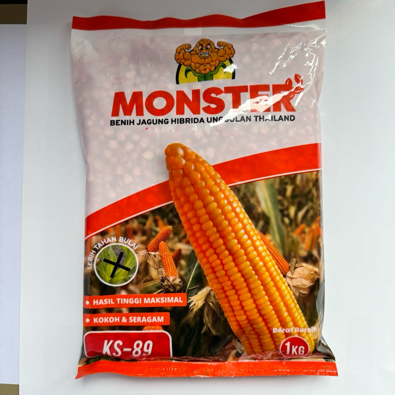 

Benih Jagung Monster Ks-89 | Ks 89