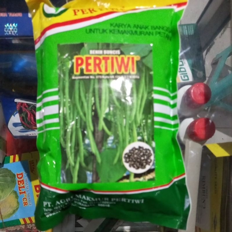 Buncis Pertiwi