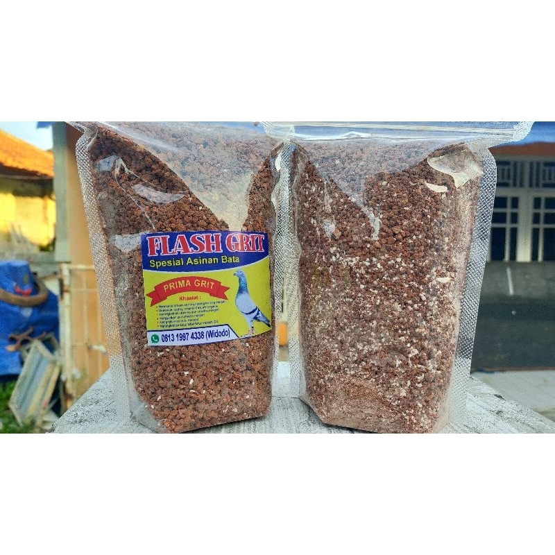 Flash grit remisan burung merpati Juara
