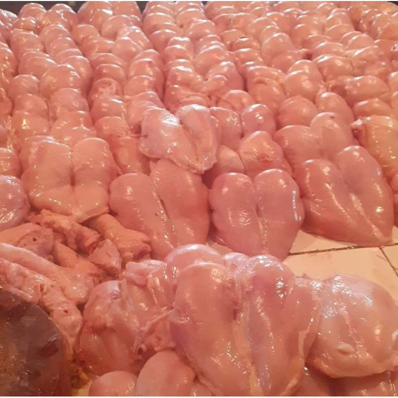 

daging fillet dada ayam