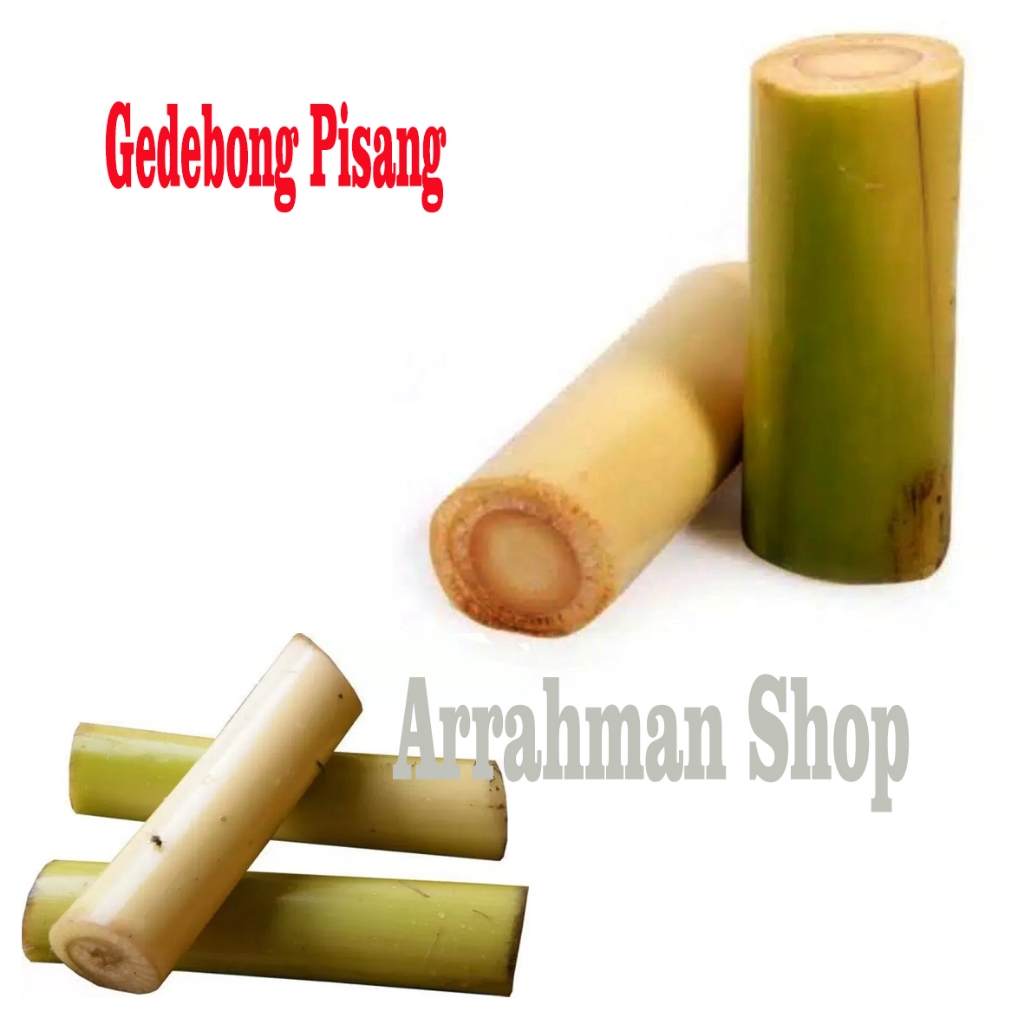 

Gedebog pisang / Batang Pisang / banana stem / gedebog pelepah pisang Batang Pisang Muda Segar
