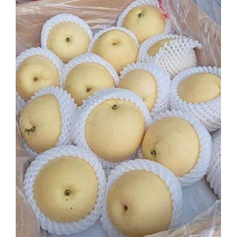 

century / madu jumbo 1 kg