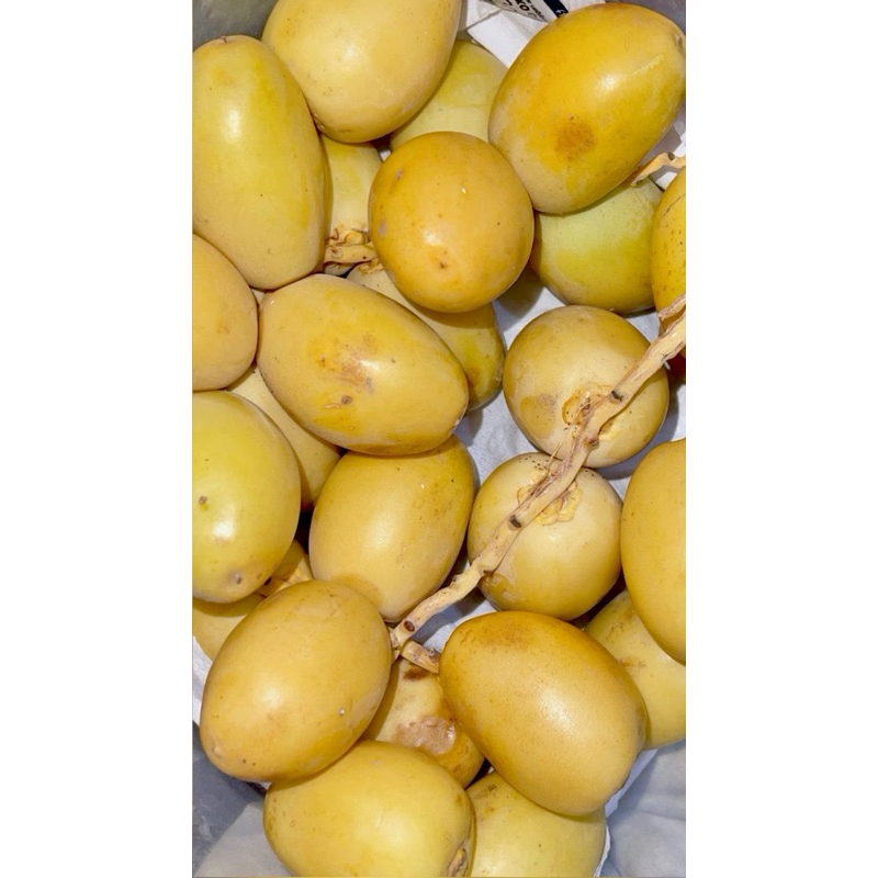 

Kurma Muda 250gram-Kurma Muda Promil 250gram