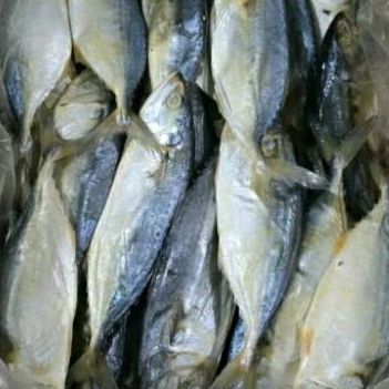 

Ikan asin peda putih 500gr 1kg