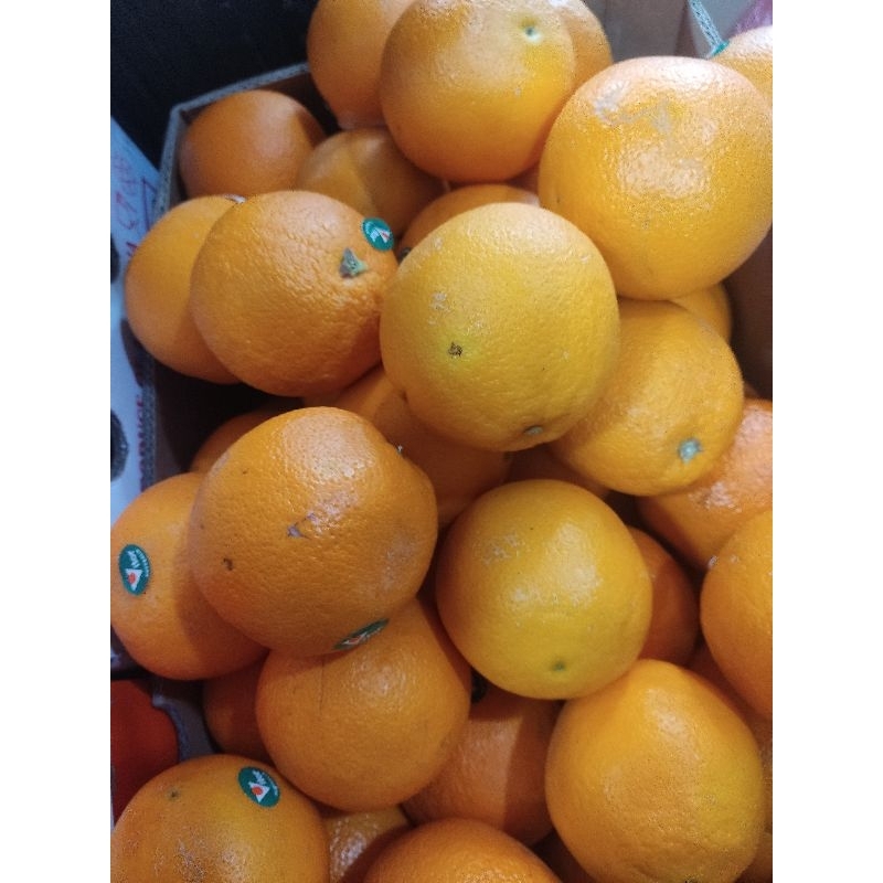 

Jeruk Sunkist navel Australia