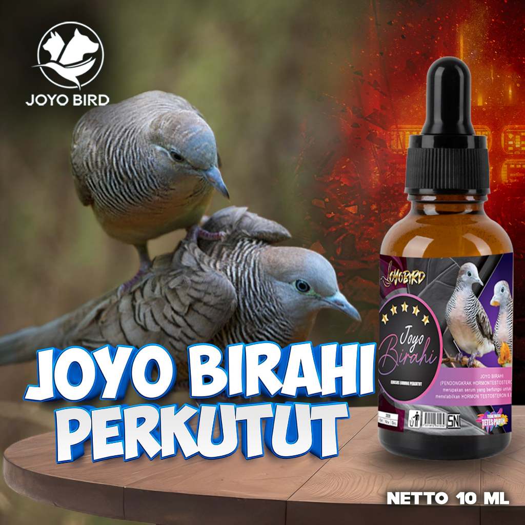 VITAMIN PENDONGKRAK BIRAHI SERTA MENINGKATKAN  HORMON TESTOSTERON & ESTEROGEN ( BIRAHI PERKUTUT )