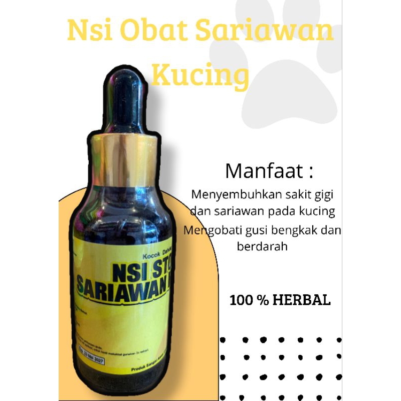 obat sariawan kucing, obat sakit gigi kucing