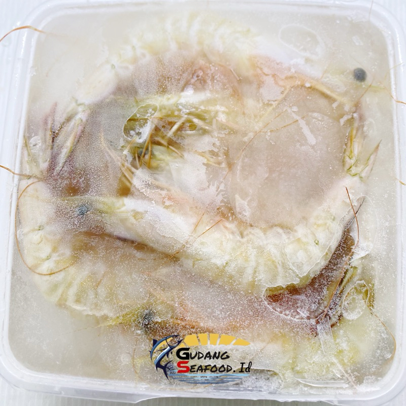 

Udang Kelong 500 gram