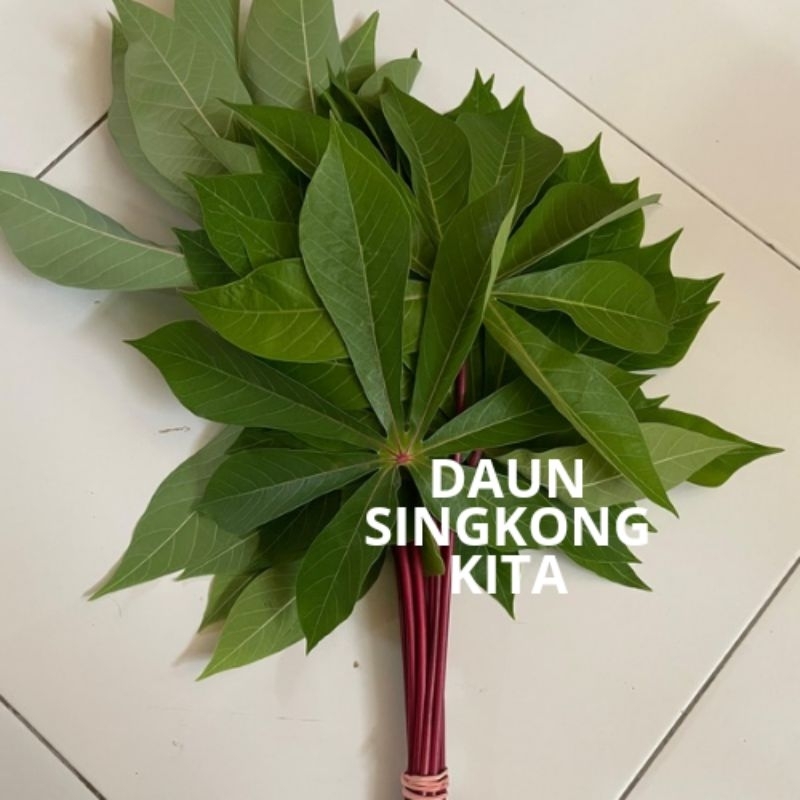 

Daun Singkong Segar