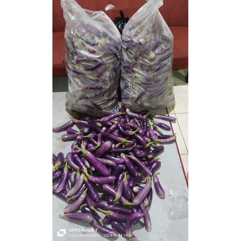 

Terong Ungu organik 500g