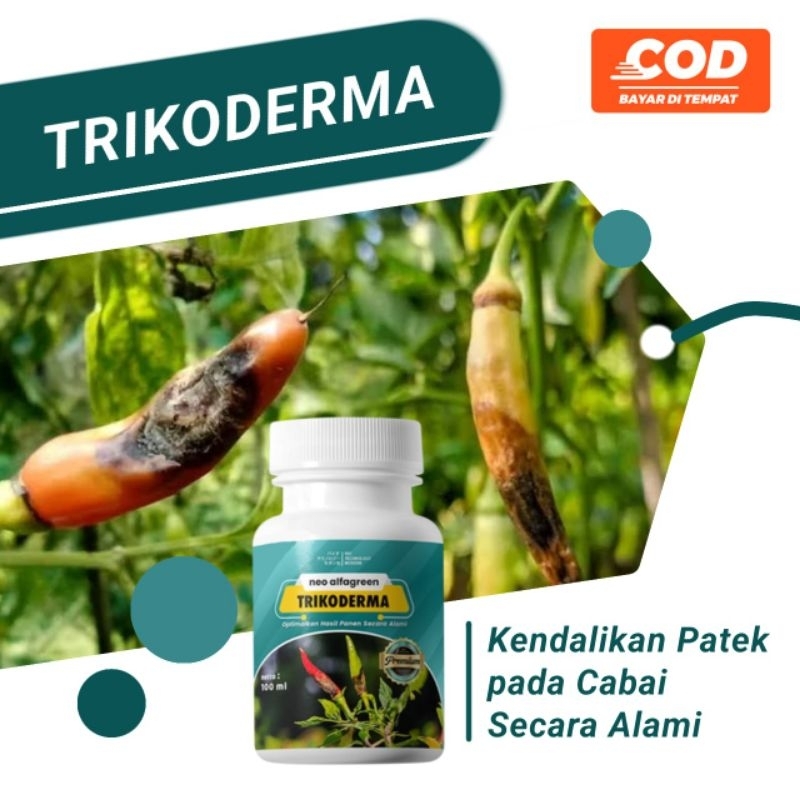 trikoderma