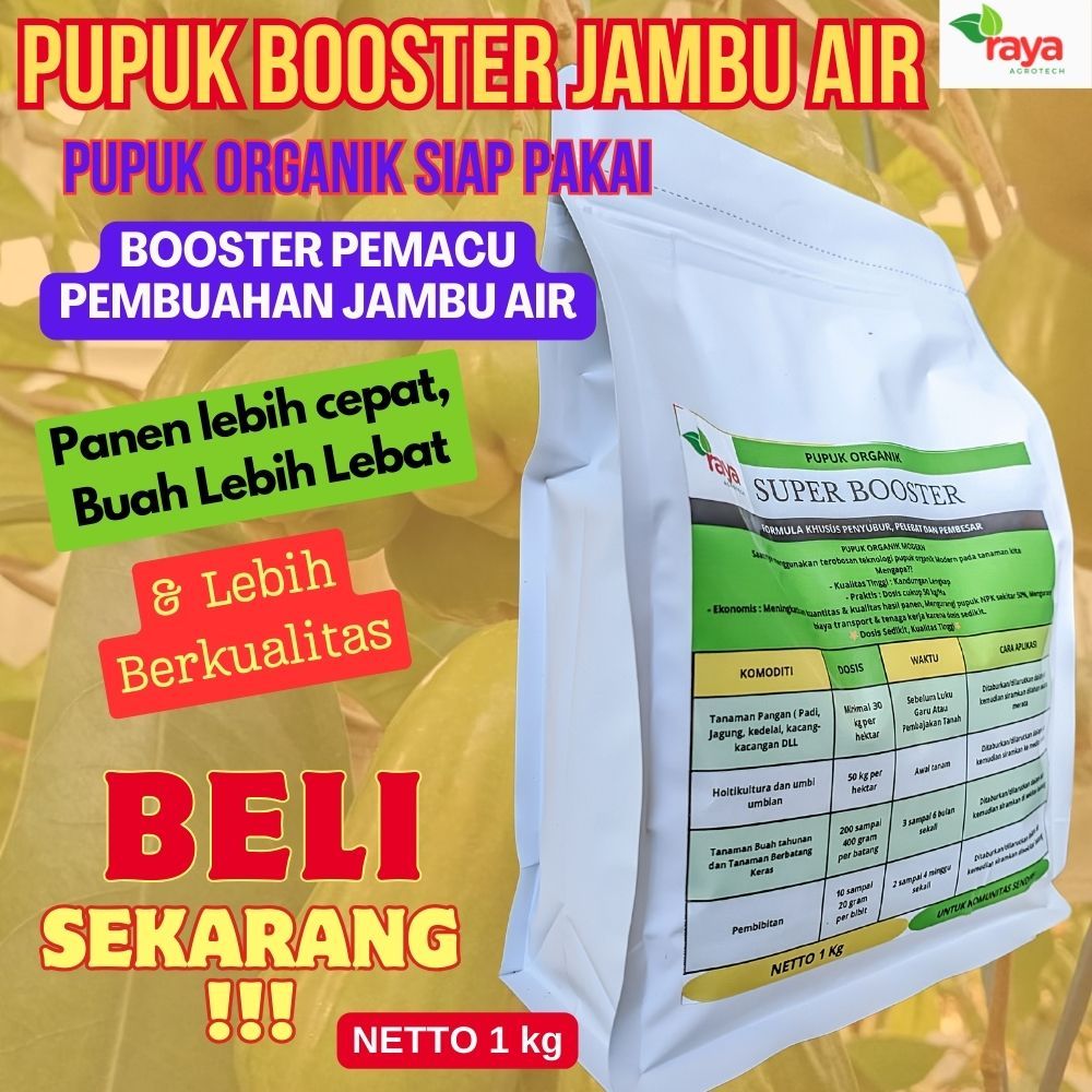 Pupuk Booster Pembuahan Jambu Air, Pupuk Pemacu Pembuahan Jambu Air Organik, Pupuk Jambu Air Terbaik