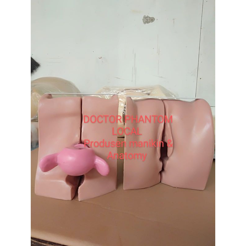 PHANTOM MANIKIN ALAT PERAGA PEMASANGAN IUD SPICULUM