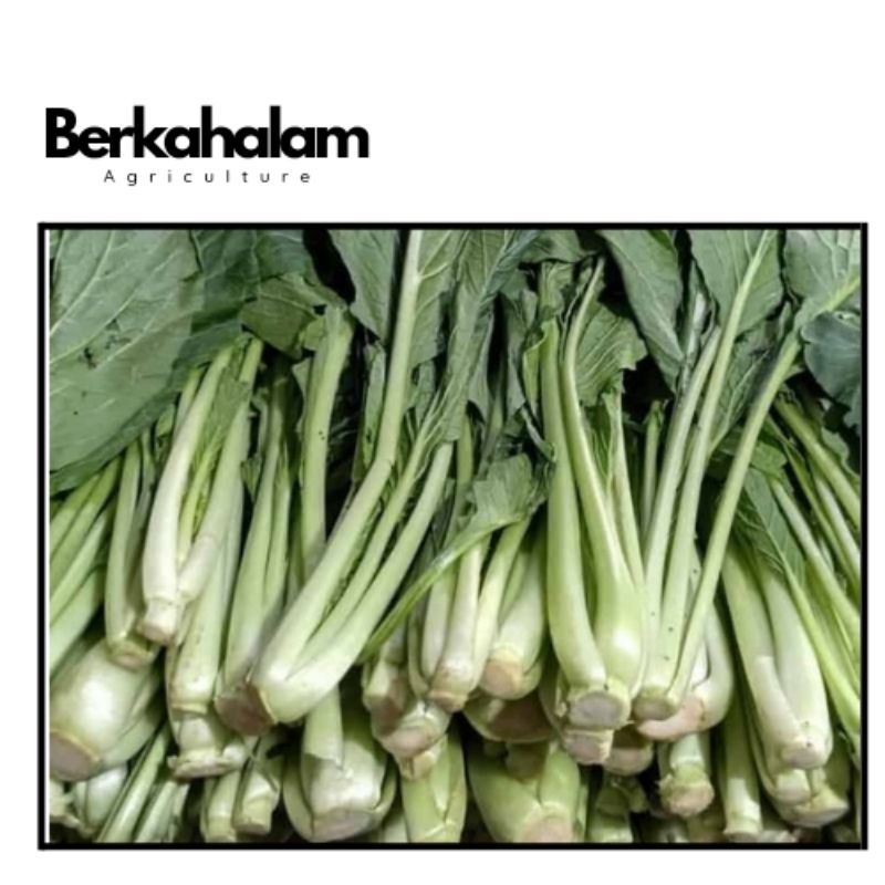 

Sawi Hijau Konvensional 250 gram