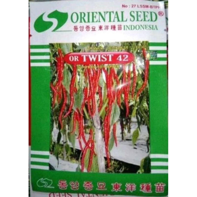 benih cabe OR Twist 42