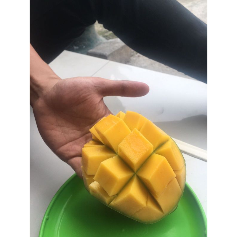 

Mangga Harumanis (Pati) Paling Enak, Manis & Pulen !!!