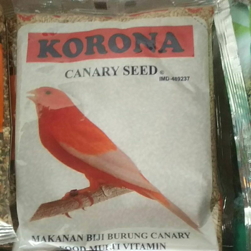 korona kenari polos / pakan kenari korona canary seed / corona kenari