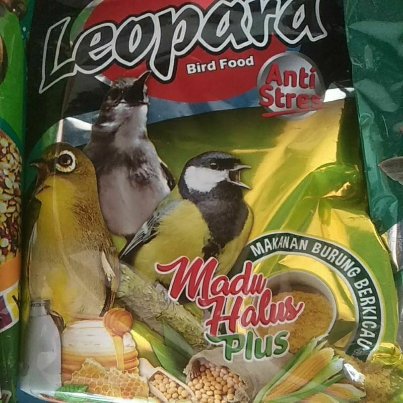 leopard voer pur pleci Kolibri kacamata leopard