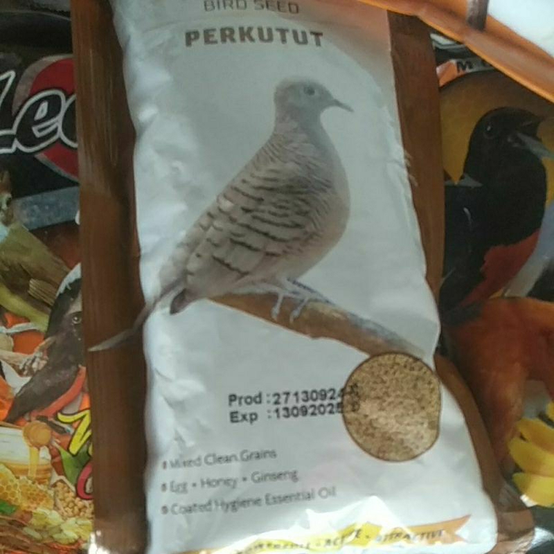 goldcoin perkutut pakan burung goldcoin