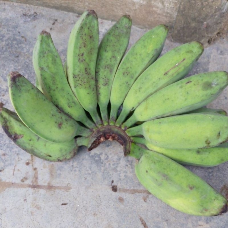 

pisang kepok