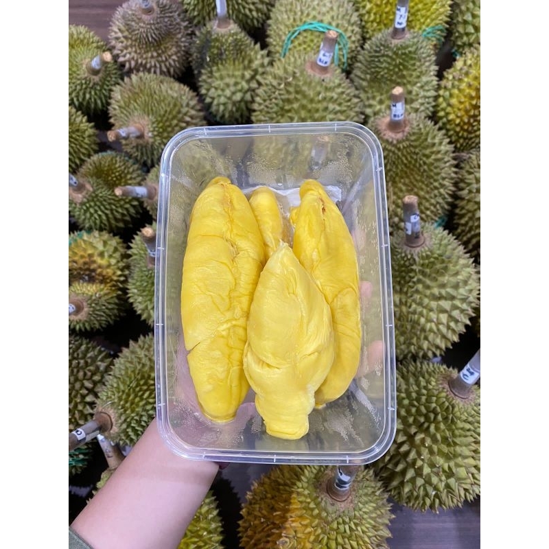 

BUAH DURIAN RAJA KING SUPER PREMIUM GIFT PACK -+400 GRAM