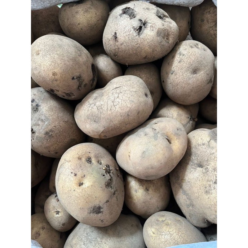 

Kentang BS (Defect) Layak Konsumsi Kondisi Kering Aman