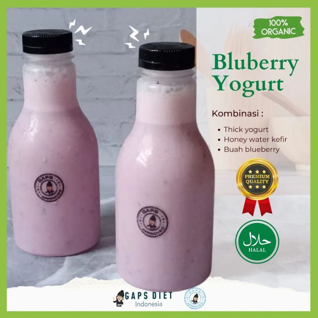 

BLUEBERY YOGURT (GAPS APPROVED)
