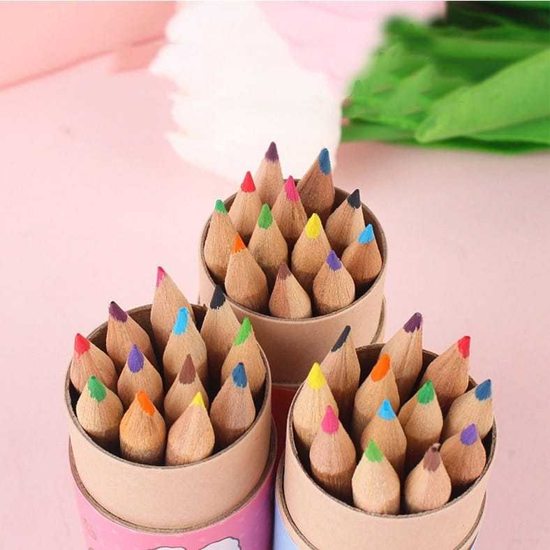 

Pensil Warna 12 IN 1 + Serutan Pensil Color Pencils Quality Pensil Warna Karakter Kemasan Tabung Murah