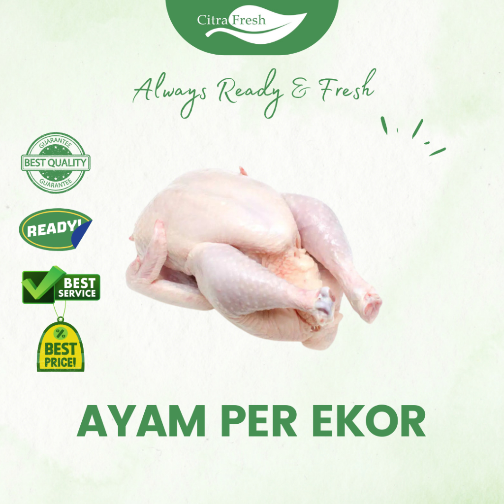 

CITRA FRESH Ayam 800 - 900 Gram - Selalu Ready dan Fresh