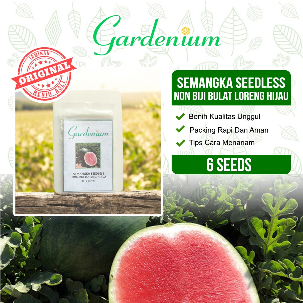 GARDENIUM Benih Semangka Seedless Non Biji Bulat Loreng Hijau Unggul